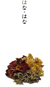 はな・はな